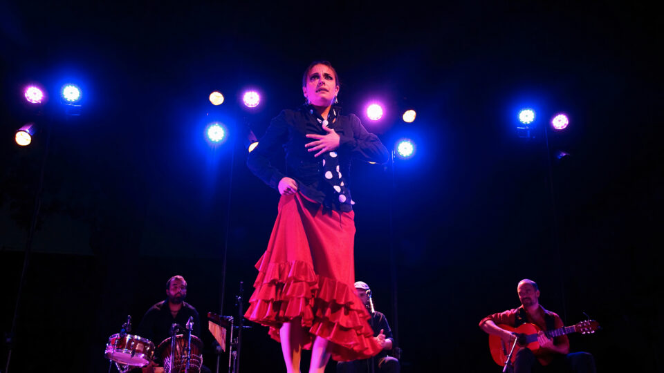 Foto von Sarsalé Flamenco